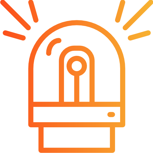 VISUAL ALARM VERIFICATION